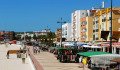 Barbate