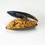 Cozze Fresche