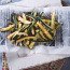 Patatine Fritte Di Fagiolini