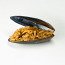 Cozze Fritte