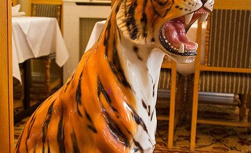 Tiger Garden